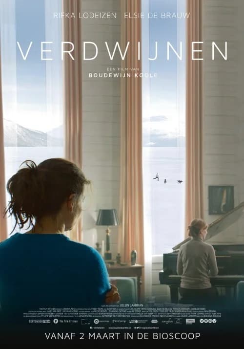 Disappearance film posteri