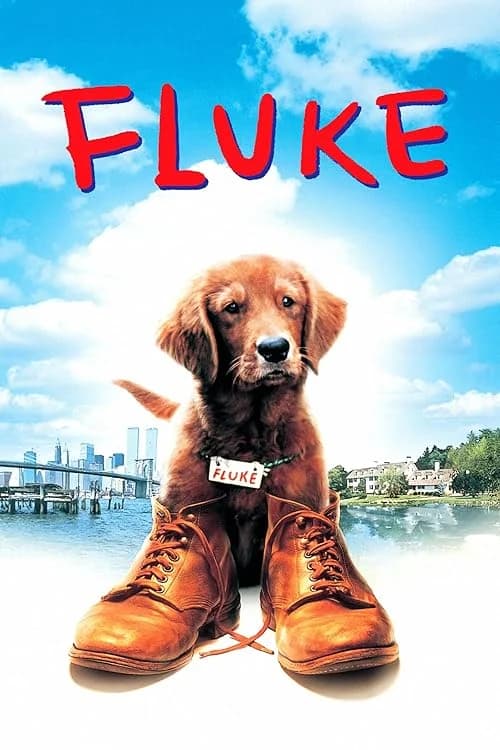 Fluke film posteri