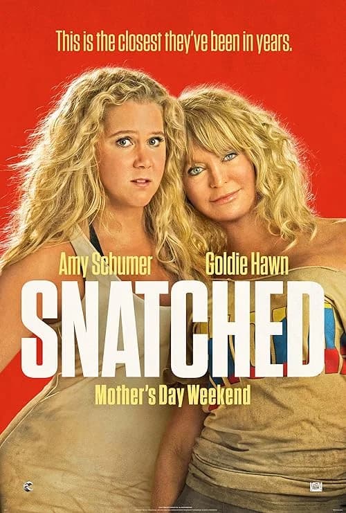 Snatched film posteri